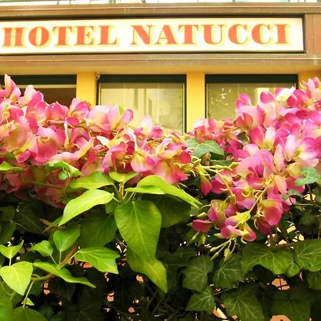 Natucci فندق